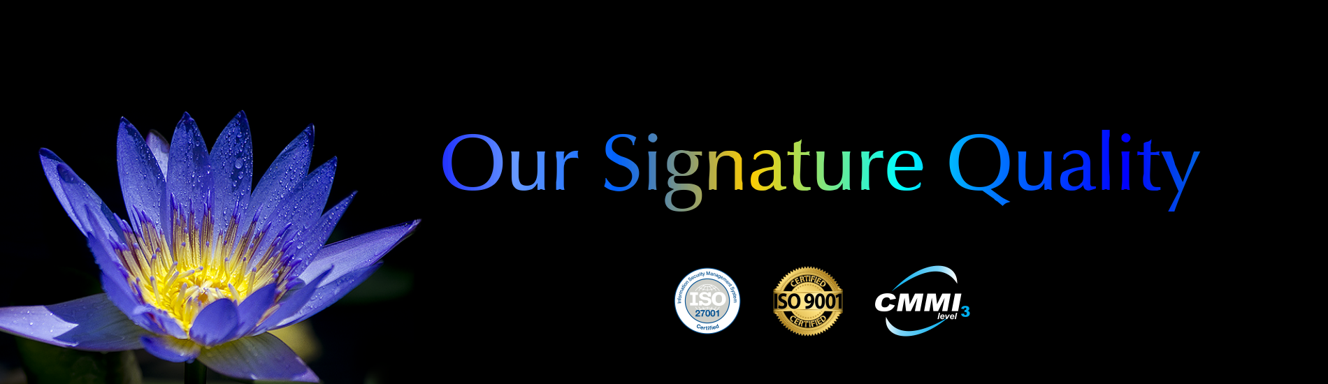 signature quality